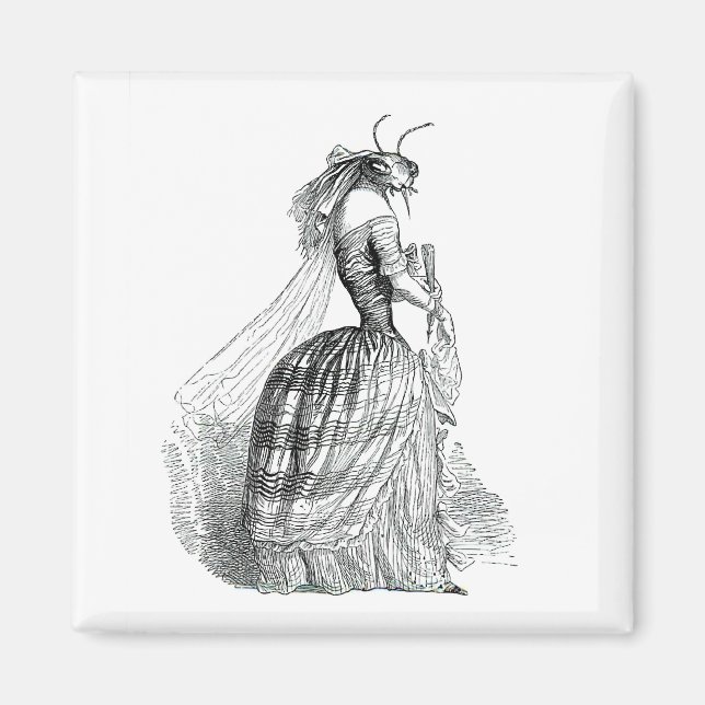 Bug Bustle Magnet (Vorne)