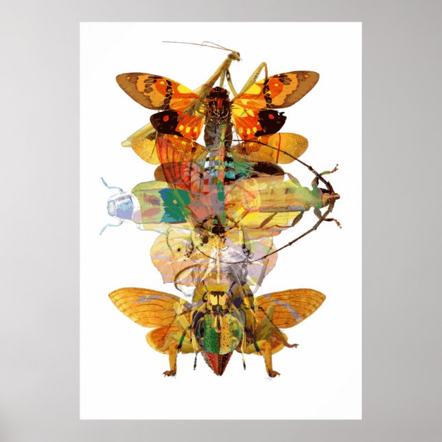 Bug Collage Poster (Vorne)