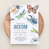 Bug Insect Boy Birthday