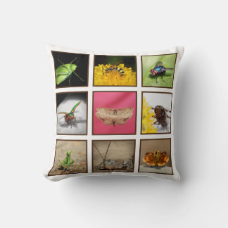 Bug Lovers Delight Insekt Fotografy Throw Kissen