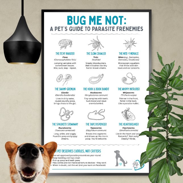 Bug Me Not - A Pet’s Guide to Parasite Frenemies Poster (Von Creator hochgeladen)