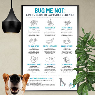 Bug Me Not - Ein Leitfaden für Haustiere zu Parasi Poster