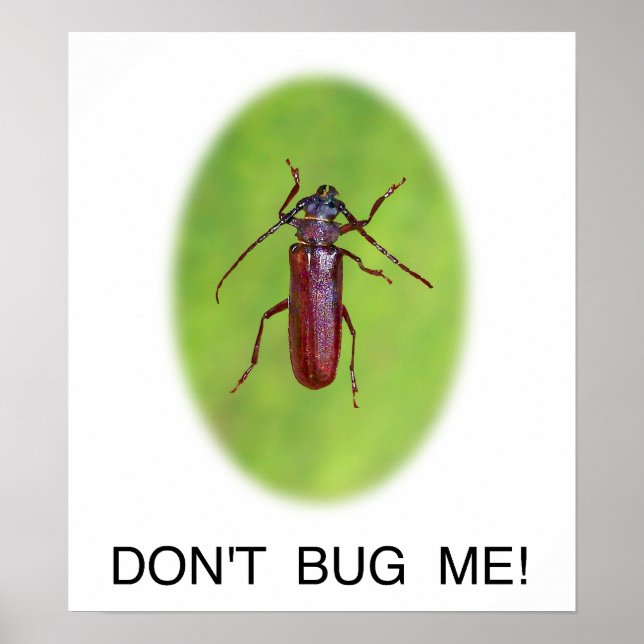 "Bug mich nicht!" Poster (Vorne)