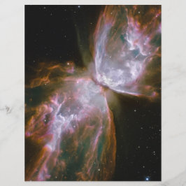Bug Nebula, Schmetterlingsnebel, NGC 2346 Flyer