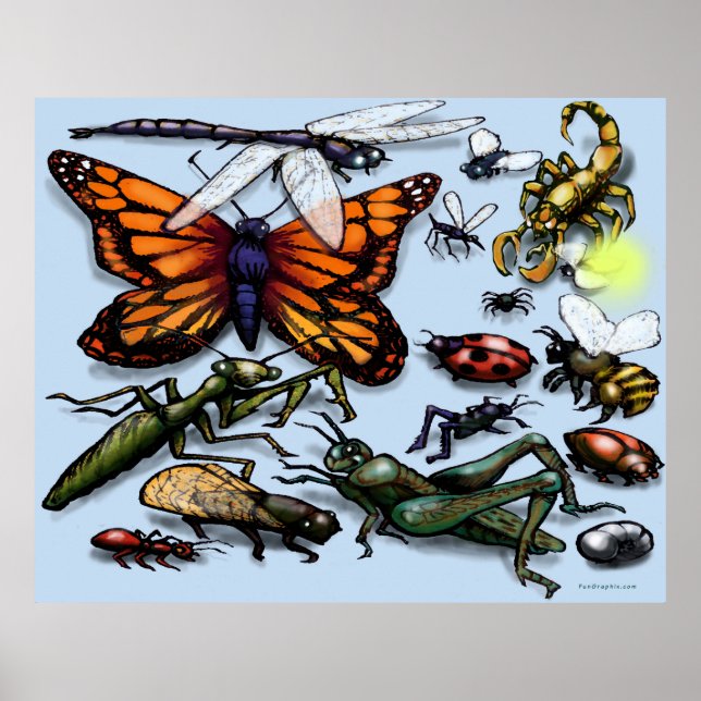 Bug Poster (Vorne)