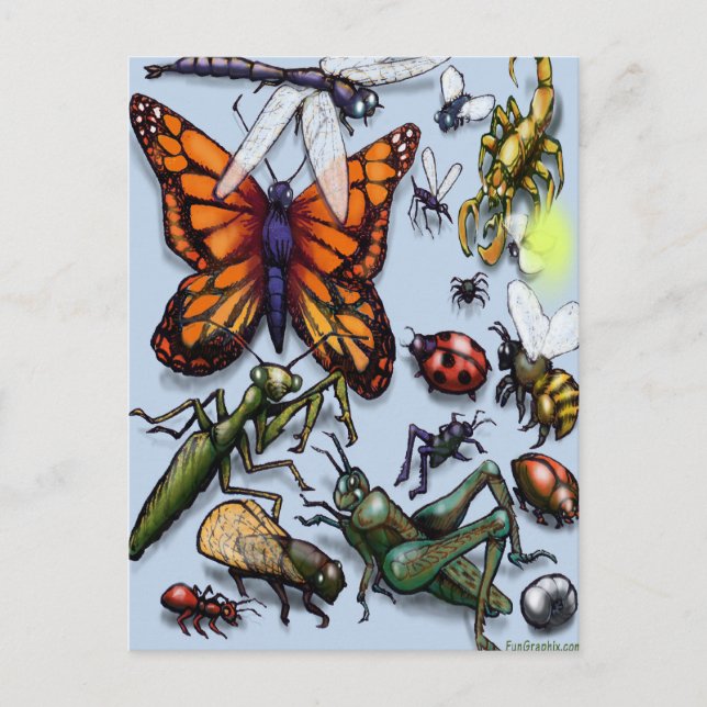 Bug Postkarte (Vorderseite)