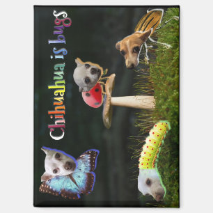 Buggs Magnet