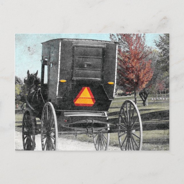 Buggy Herbst Postkarte (Vorderseite)