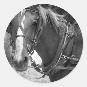 Buggy Pferd am Hitching Post Runder Aufkleber