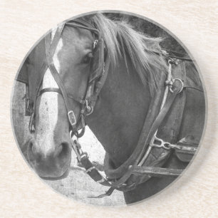 Buggy Pferd am Hitching Post Untersetzer