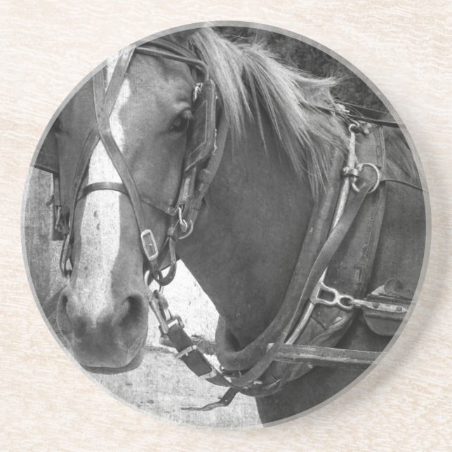 Buggy Pferd am Hitching Post Untersetzer (Vorne)