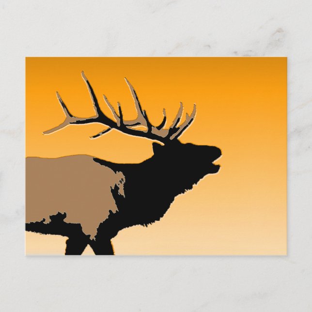 Bugling Bull Elch bei Sunset Original Wildlife Art Postkarte (Vorderseite)