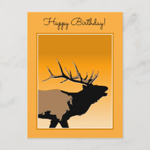 Bugling Bull Elch bei Sunset Original Wildlife Art Postkarte