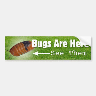 Bugs Are Here...Isopod Edition Bumper Sticker