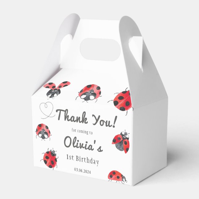 Bugs & Insekten Vintager Junge Geburtstagsparty Geschenkschachtel (Vorderseite)