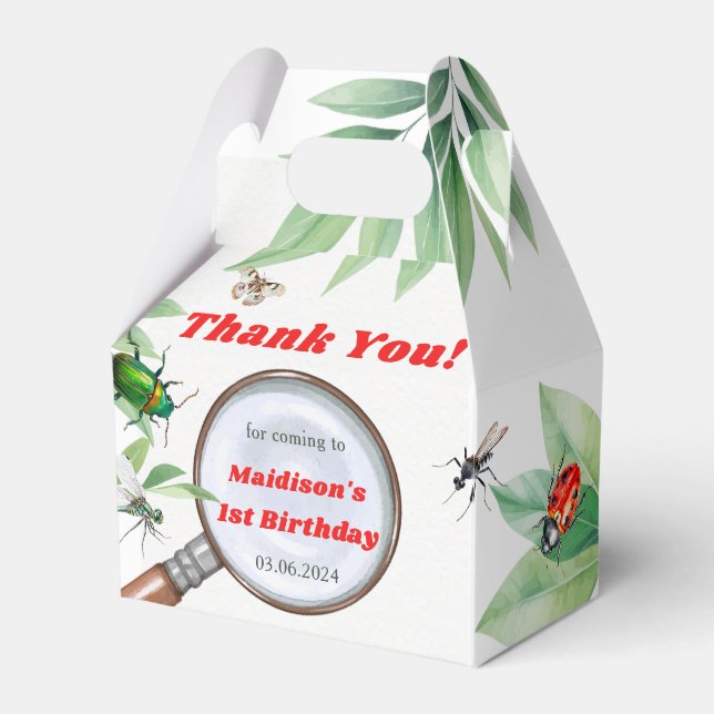 Bugs & Insekten Vintager Junge Geburtstagsparty Geschenkschachtel (Vorderseite)