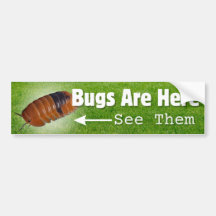 Bugs sind hier...Isopod Edition Autoaufkleber