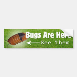 Bugs sind hier...Isopod Edition Autoaufkleber