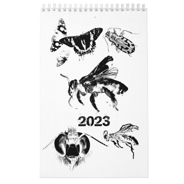 Bugs World - Insects - Calendrier 2023 (Protection)
