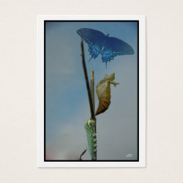 Bühnen~ Butterfly ACEO Kunsthandwerkskarten Busine