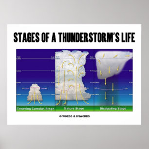 Bühnen des Lebens eines Gewitters (Meteorologie) Poster