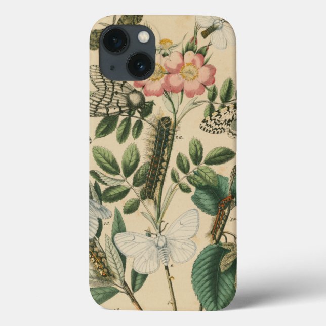 Bühnen des Schmetterlingslebens von Vision Studio Case-Mate iPhone Hülle (Rückseite)