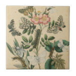 Bühnen des Schmetterlingslebens von Vision Studio Fliese<br><div class="desc">Alle Bühnen des Schmetterlingslebens sind in diesem Werk von Vision Studio dargestellt. Es werden Raupen,  frisch geschlüpfte Schmetterlinge und sogar ein Larvenkor gezeigt. Wenn Sie die Natur im Allgemeinen oder Schmetterlinge im Besonderen Liebe,  ist dies der Ausdruck für Sie!</div>