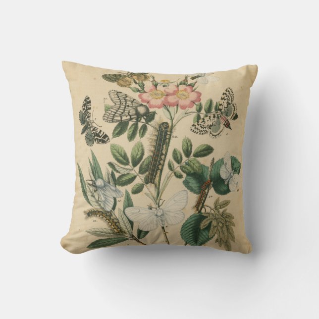 Bühnen des Schmetterlingslebens von Vision Studio Kissen (Vorderseite)