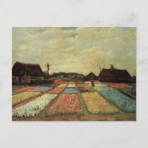 Bulb Fields von Vincent van Gogh Postkarte