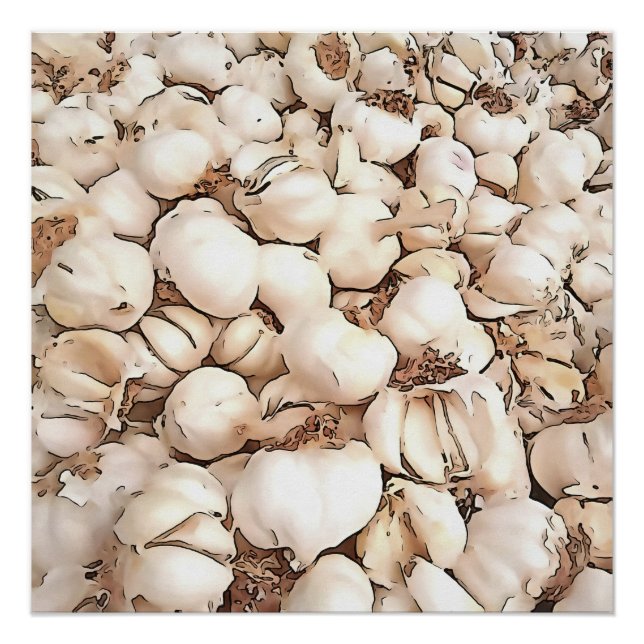 Bulben von Knoblauch-Akrylkunst Poster (Vorderseite)