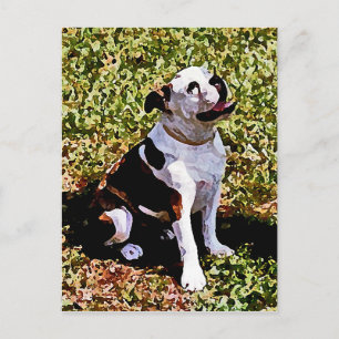 Buldog sitzen mit Mundöffnung Postkarte