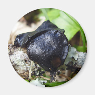 Bulgarische Inquiner Fungi Magnet