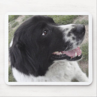 Bulgarischer Schäfer-Hund Sara Mousepad