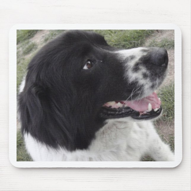 Bulgarischer Schäfer-Hund Sara Mousepad (Vorne)