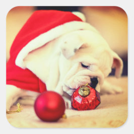 BULHUND MIT Weihnachtsmannmütze Quadratischer Aufkleber