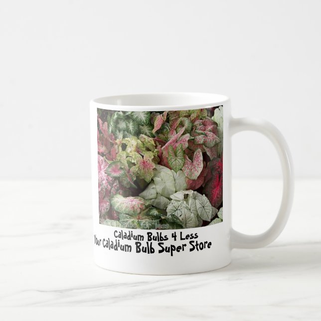 BulkAssortPic, Caladium-Birnen 4 weniger, Ihr Kaffeetasse (Rechts)