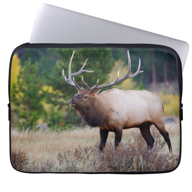 Bull & Aspen Trees | Rocky Mountain Nationalpark Laptopschutzhülle (Vorderseite)