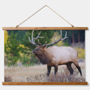 Bull & Aspen Trees   Rocky Mountain Nationalpark Wandteppich Mit Holzrahmen