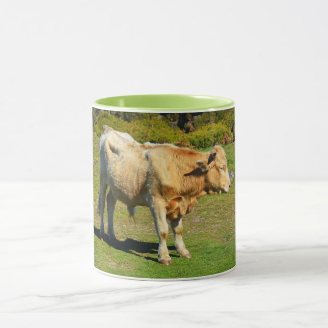 Bull auf Madeira Tasse (Zentrum)