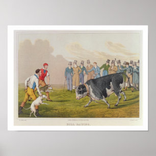 'Bull Baiting', pub.by Thomas McLean, 1820, (Druck Poster
