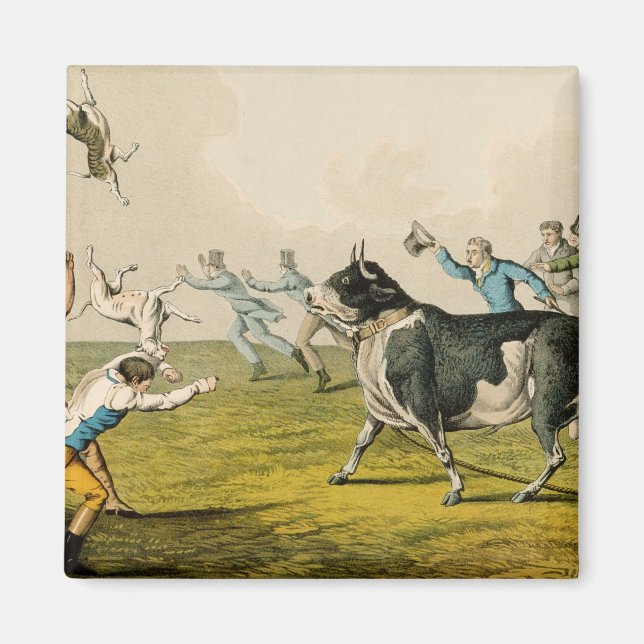'Bull Baiting', Pub. von Thomas McLean, 1820, (pri Magnet (Vorne)