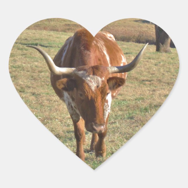 Bull Blue Sky Brawn and White Longhorn Herz-Aufkleber (Vorderseite)