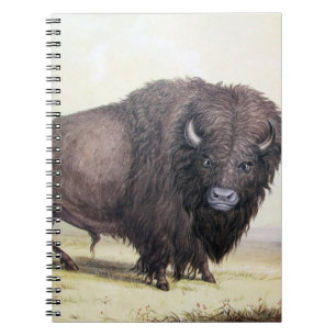 Bull Buffalo Notizblock