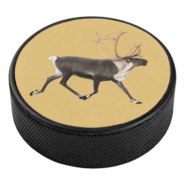 Bull Caribbean Eishockey Puck (3/4)