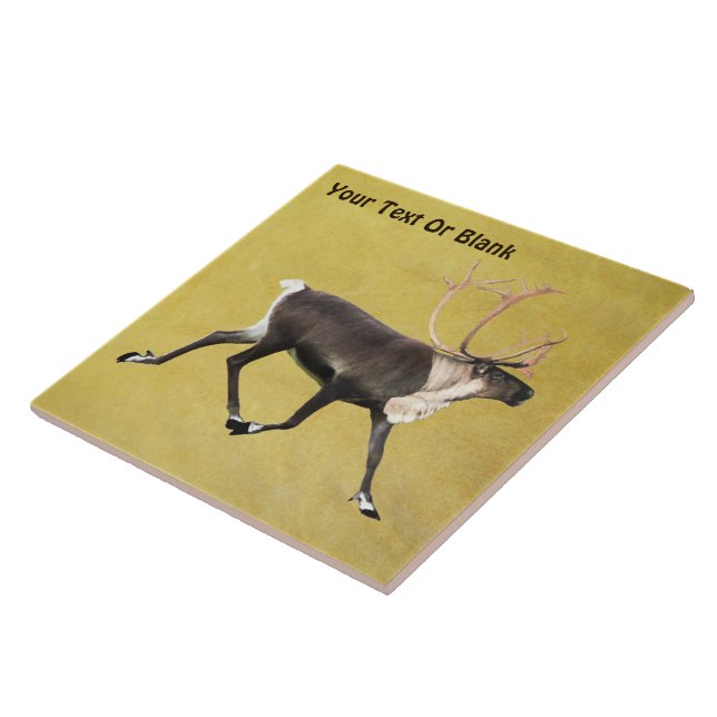 Bull Caribbean Fliese (Seite)