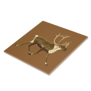 Bull Caribbean - Sepia Fliese