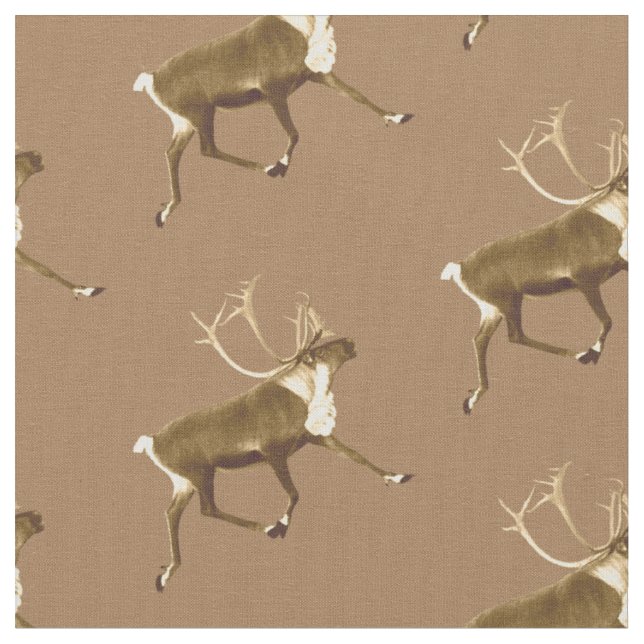 Bull Caribbean - Sepia Stoff (Nahaufnahme)