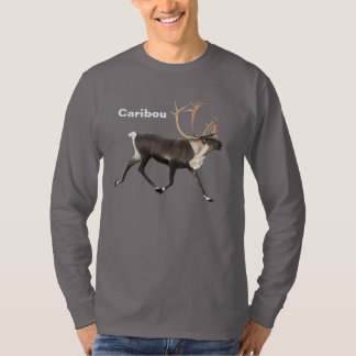Bull Caribbean T-Shirt