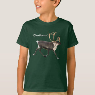Bull Caribbean T-Shirt