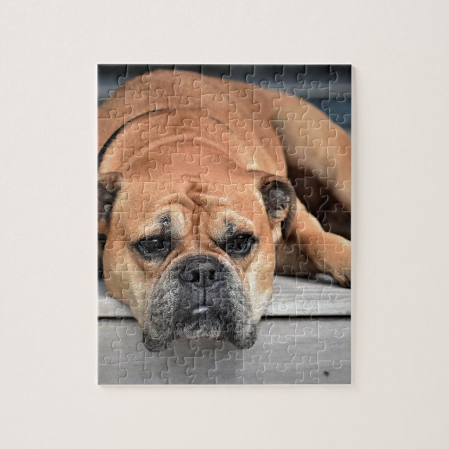 Bull Dog (Vertikal)